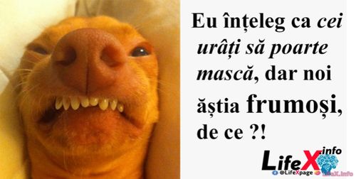 Eu înțeleg ca cei urâți să poarte  mască, dar noi  ăștia frumoși,  de
