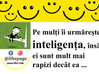 Pe mulți îi urmărește inteligența, însă ei sunt mult mai rapizi decât