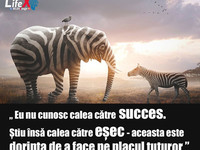 calea către succes