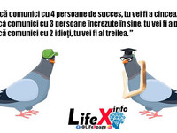 Anturajul tău contează ...