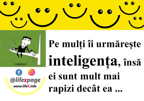 Pe mulți îi urmărește inteligența, însă ei sunt mult mai rapizi decât
