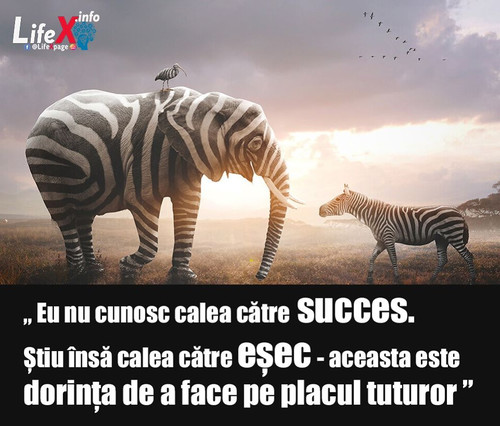 calea către succes
